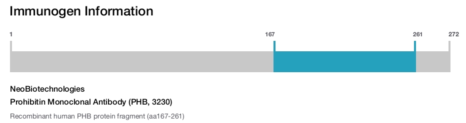 Prohibitin Monoclonal Antibody (PHB, 3230)