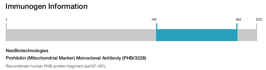 Prohibitin (Mitochondrial Marker) Monoclonal Antibody (PHB/3228)