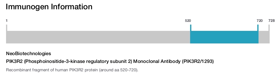 PIK3R2 (Phosphoinositide-3-kinase regulatory subunit 2) Monoclonal Antibody (PIK3R2/1293)