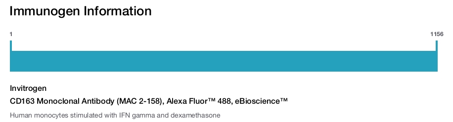 CD163 Monoclonal Antibody (MAC 2-158), Alexa Fluor™ 488, eBioscience™
