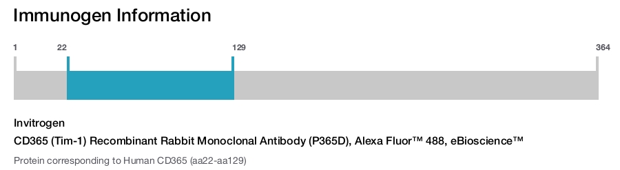 CD365 (Tim-1) Recombinant Rabbit Monoclonal Antibody (P365D), Alexa Fluor™ 488, eBioscience™