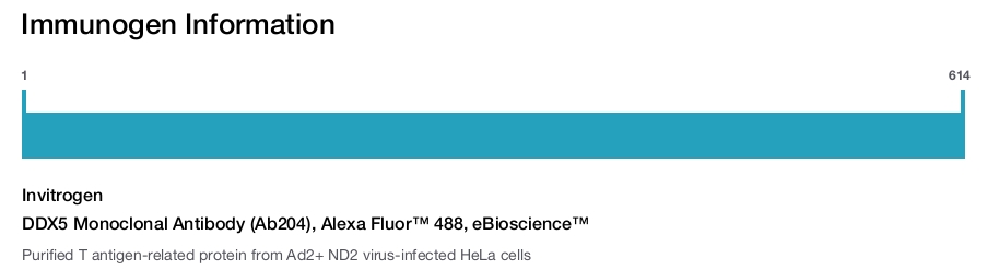 DDX5 Monoclonal Antibody (Ab204), Alexa Fluor™ 488, eBioscience™