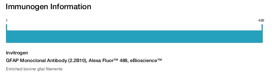 GFAP Monoclonal Antibody (2.2B10), Alexa Fluor™ 488, eBioscience™