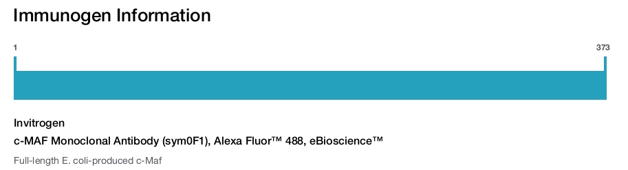c-MAF Monoclonal Antibody (sym0F1), Alexa Fluor™ 488, eBioscience™