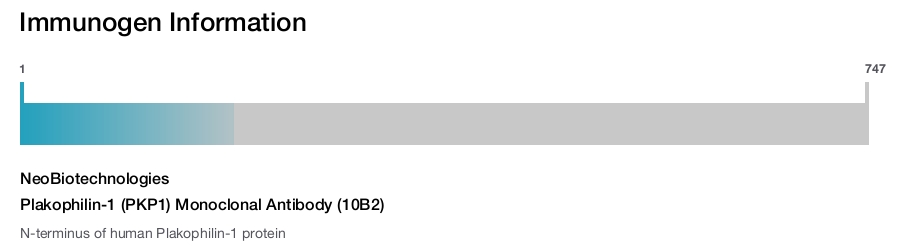 Plakophilin-1 (PKP1) Monoclonal Antibody (10B2)