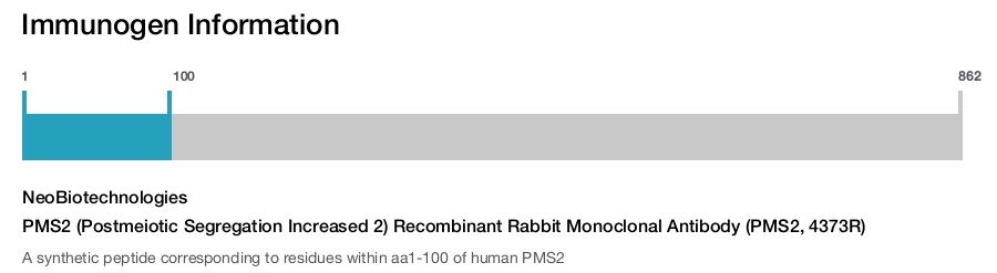PMS2 (Postmeiotic Segregation Increased 2) Recombinant Rabbit Monoclonal Antibody (PMS2, 4373R)