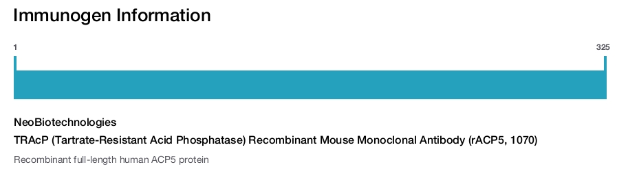 TRAcP (Tartrate-Resistant Acid Phosphatase) Recombinant Mouse Monoclonal Antibody (rACP5, 1070)