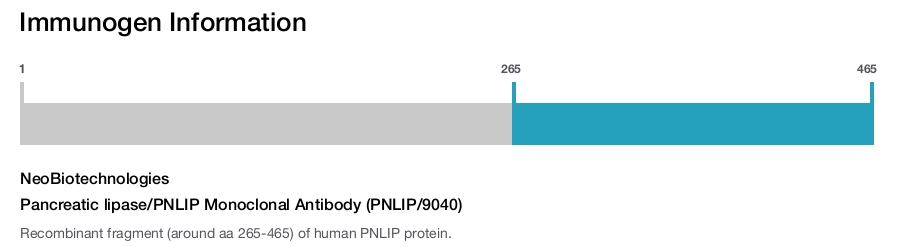 Pancreatic lipase/PNLIP Monoclonal Antibody (PNLIP/9040)