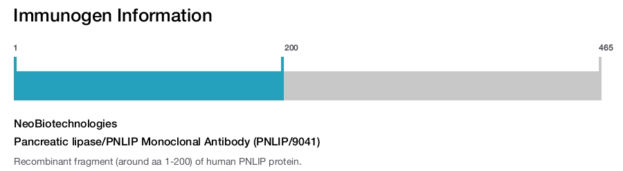 Pancreatic lipase/PNLIP Monoclonal Antibody (PNLIP/9041)
