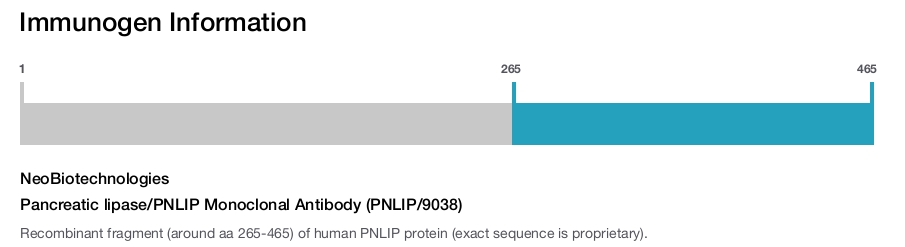 Pancreatic lipase/PNLIP Monoclonal Antibody (PNLIP/9038)