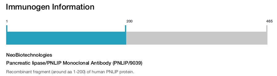 Pancreatic lipase/PNLIP Monoclonal Antibody (PNLIP/9039)