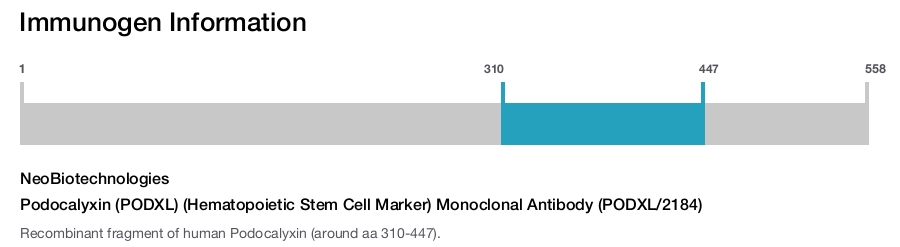 Podocalyxin (PODXL) (Hematopoietic Stem Cell Marker) Monoclonal Antibody (PODXL/2184)