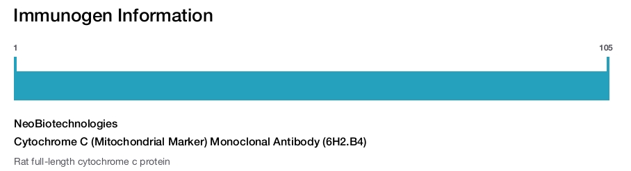 Cytochrome C (Mitochondrial Marker) Monoclonal Antibody (6H2.B4)