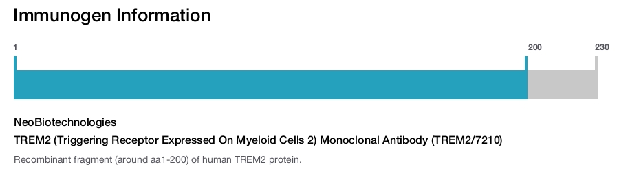TREM2 (Triggering Receptor Expressed On Myeloid Cells 2) Monoclonal Antibody (TREM2/7210)