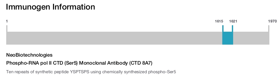 Phospho-RNA pol II CTD (Ser5) Monoclonal Antibody (CTD 8A7)