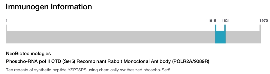 Phospho-RNA pol II CTD (Ser5) Recombinant Rabbit Monoclonal Antibody (POLR2A/9089R)