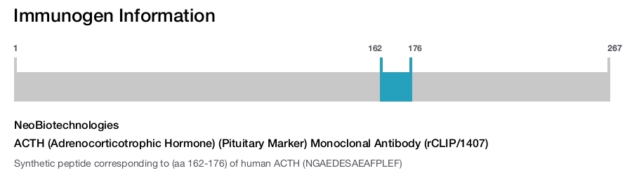 ACTH (Adrenocorticotrophic Hormone) (Pituitary Marker) Monoclonal Antibody (rCLIP/1407)