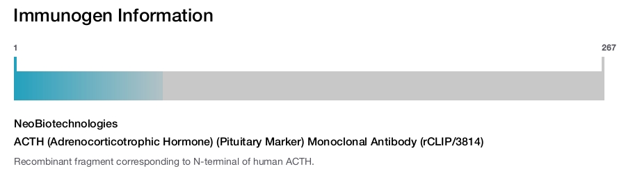 ACTH (Adrenocorticotrophic Hormone) (Pituitary Marker) Monoclonal Antibody (rCLIP/3814)