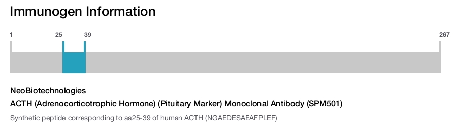 ACTH (Adrenocorticotrophic Hormone) (Pituitary Marker) Monoclonal Antibody (SPM501)