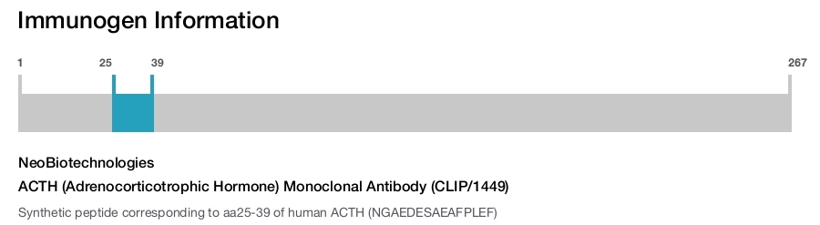 ACTH (Adrenocorticotrophic Hormone) Monoclonal Antibody (CLIP/1449)