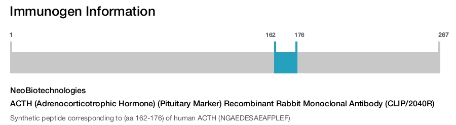 ACTH (Adrenocorticotrophic Hormone) (Pituitary Marker) Recombinant Rabbit Monoclonal Antibody (CLIP/2040R)