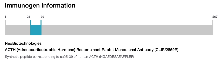 ACTH (Adrenocorticotrophic Hormone) Recombinant Rabbit Monoclonal Antibody (CLIP/2859R)