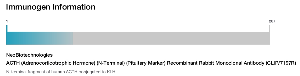 ACTH (Adrenocorticotrophic Hormone) (N-Terminal) (Pituitary Marker) Recombinant Rabbit Monoclonal Antibody (CLIP/7197R)