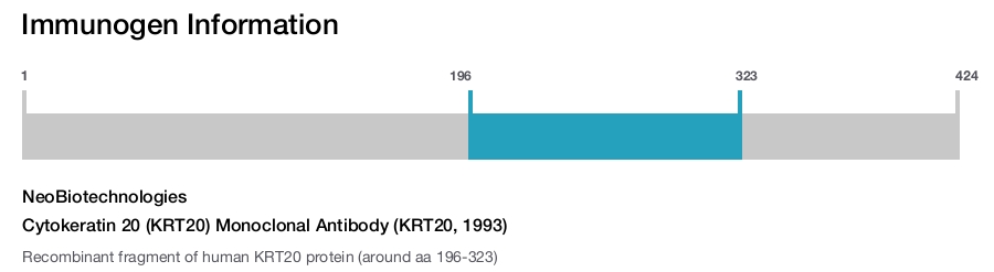 Cytokeratin 20 (KRT20) Monoclonal Antibody (KRT20, 1993)