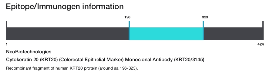 Cytokeratin 20 (KRT20) (Colorectal Epithelial Marker) Monoclonal Antibody (KRT20/3145)