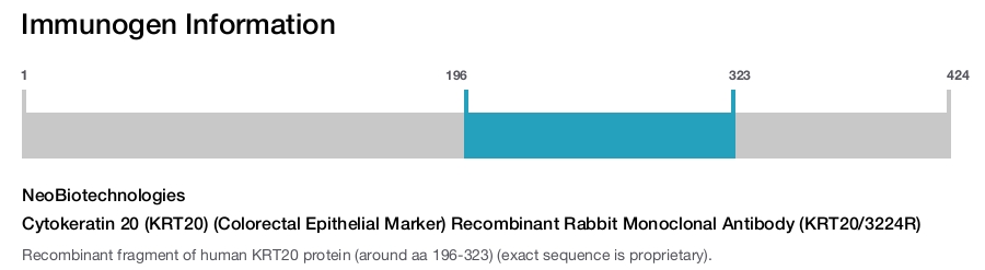 Cytokeratin 20 (KRT20) (Colorectal Epithelial Marker) Recombinant Rabbit Monoclonal Antibody (KRT20/3224R)