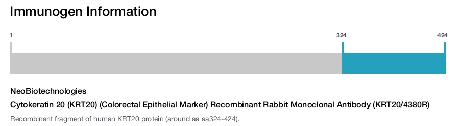 Cytokeratin 20 (KRT20) (Colorectal Epithelial Marker) Recombinant Rabbit Monoclonal Antibody (KRT20/4380R)