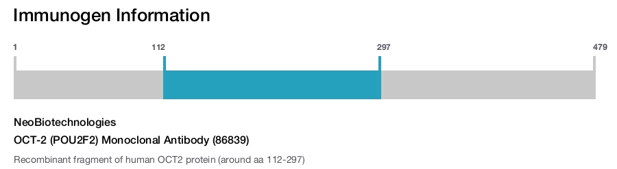 OCT-2 (POU2F2) Monoclonal Antibody (86839)