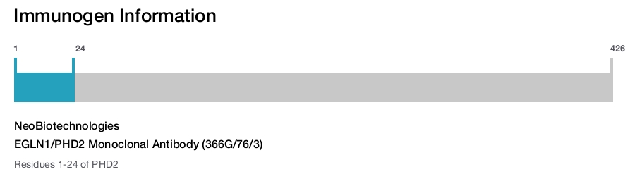 EGLN1/PHD2 Monoclonal Antibody (366G/76/3)