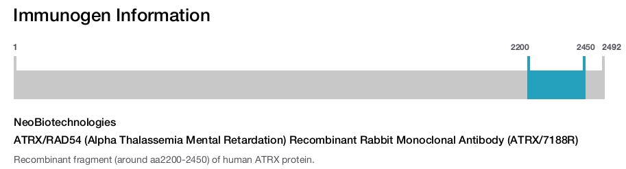 ATRX/RAD54 (Alpha Thalassemia Mental Retardation) Recombinant Rabbit Monoclonal Antibody (ATRX/7188R)
