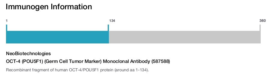 OCT-4 (POU5F1) (Germ Cell Tumor Marker) Monoclonal Antibody (587588)