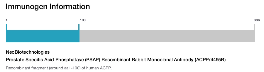 Prostate Specific Acid Phosphatase (PSAP) Recombinant Rabbit Monoclonal Antibody (ACPP/4495R)
