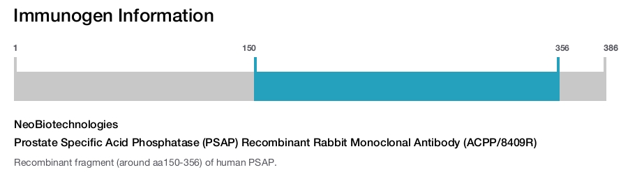 Prostate Specific Acid Phosphatase (PSAP) Recombinant Rabbit Monoclonal Antibody (ACPP/8409R)