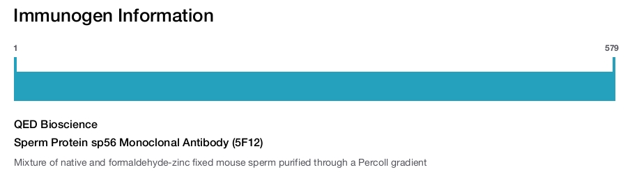 Sperm Protein sp56 Monoclonal Antibody (5F12)