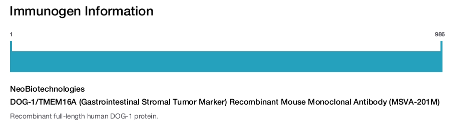 DOG-1/TMEM16A (Gastrointestinal Stromal Tumor Marker) Recombinant Mouse Monoclonal Antibody (MSVA-201M)