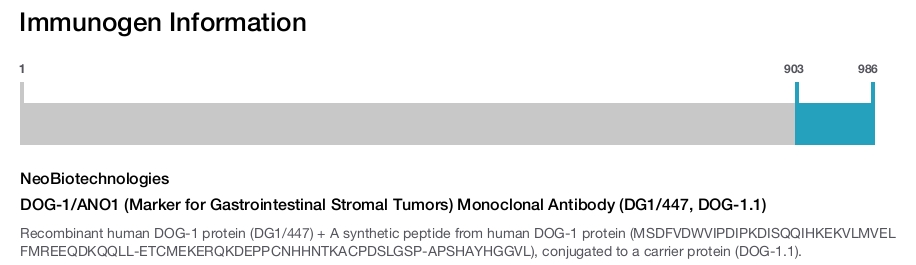 DOG-1/ANO1 (Marker for Gastrointestinal Stromal Tumors) Monoclonal Antibody (DG1/447, DOG-1.1)
