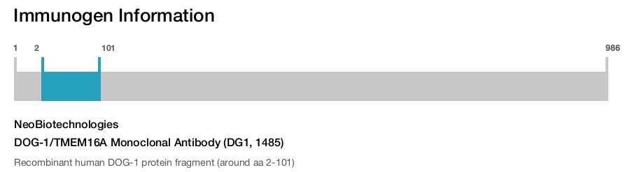 DOG-1/TMEM16A Monoclonal Antibody (DG1, 1485)