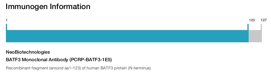 BATF3 Monoclonal Antibody (PCRP-BATF3-1E5)