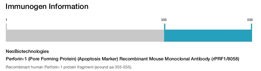 Perforin-1 (Pore Forming Protein) (Apoptosis Marker) Recombinant Mouse Monoclonal Antibody (rPRF1/8058)