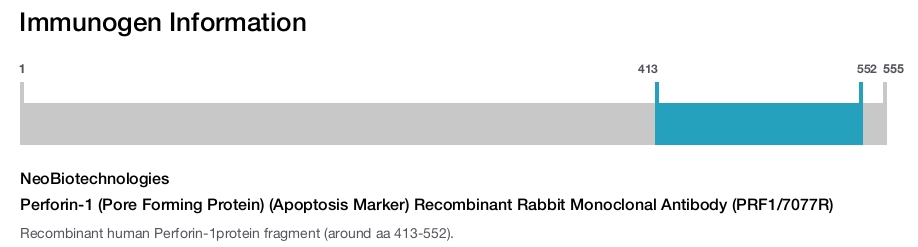 Perforin-1 (Pore Forming Protein) (Apoptosis Marker) Recombinant Rabbit Monoclonal Antibody (PRF1/7077R)