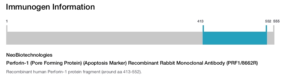Perforin-1 (Pore Forming Protein) (Apoptosis Marker) Recombinant Rabbit Monoclonal Antibody (PRF1/8662R)