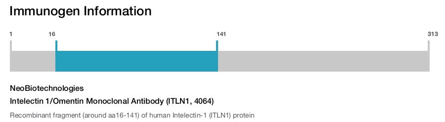Intelectin 1/Omentin Monoclonal Antibody (ITLN1, 4064)