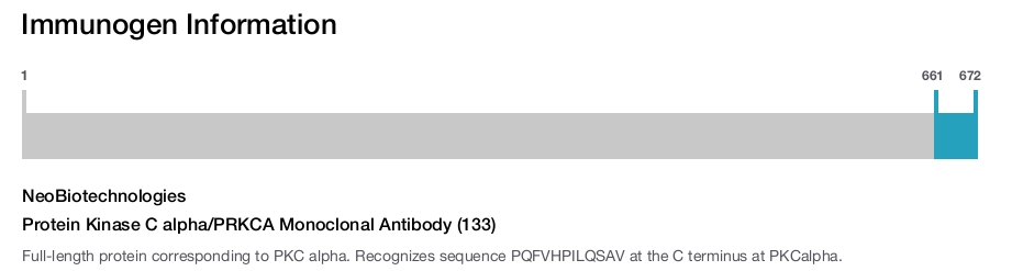 Protein Kinase C alpha/PRKCA Monoclonal Antibody (133)