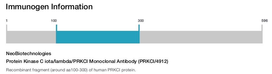 Protein Kinase C iota/lambda/PRKCI Monoclonal Antibody (PRKCI/4912)
