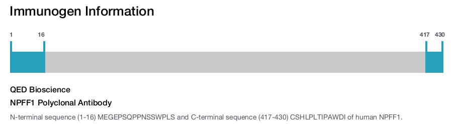 NPFF1 Polyclonal Antibody