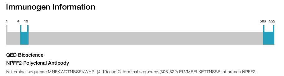 NPFF2 Polyclonal Antibody